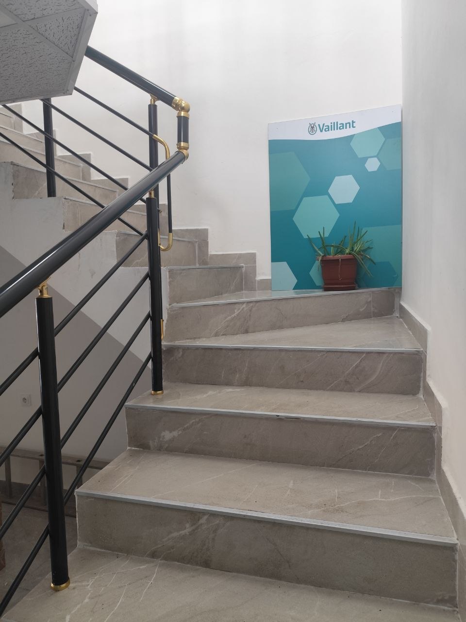 HSDConcept